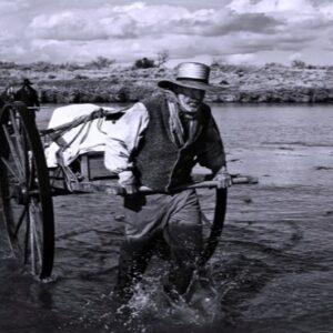 Martin Handcart Company