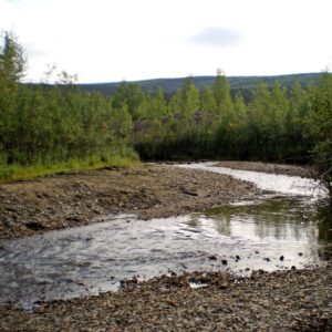 Robert Henderson and the Siwashes