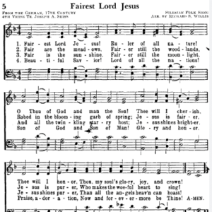 Albert Heinrich Hoffman