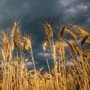 July 22, 1839: "The Day of God's Power"