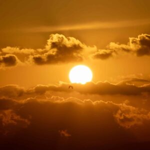 A Voice from the Darkness