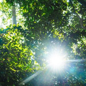 A Perfect Column of Light