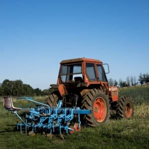 Stopped Dead in His Tracks