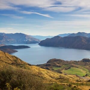 You Have to Learn This Language