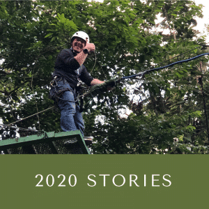 2020 Stories
